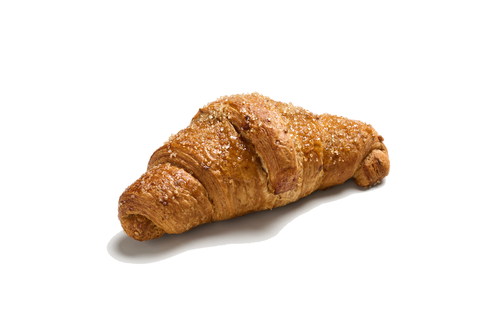 1829